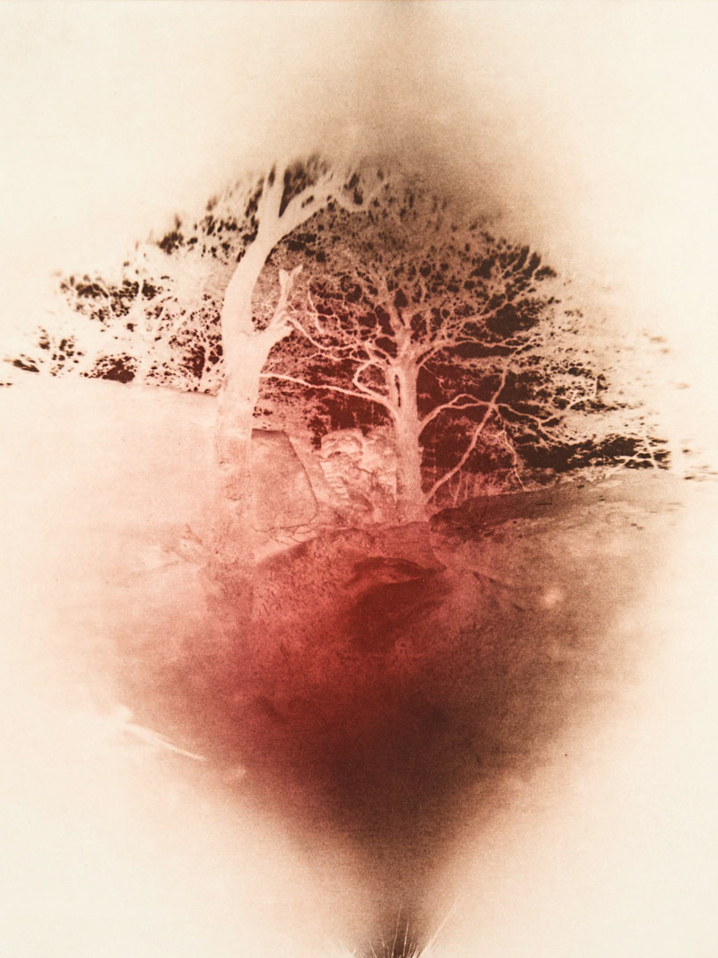 FLESH TOUCHING GROUND TOUCHING FLESH — Photopolymer Etching